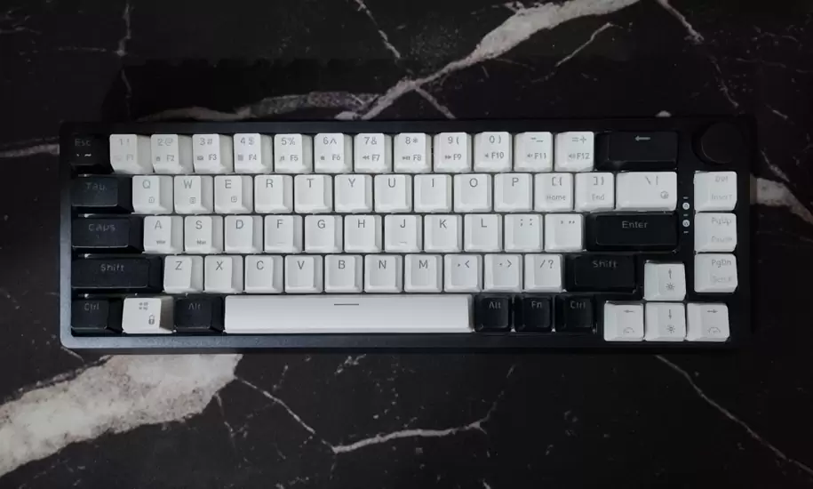 RM250 DK67 with holypanda switches and keycaps